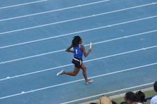 Enlarge photo 445