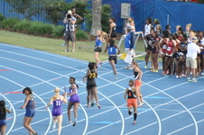 Enlarge photo 457