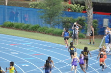 Enlarge photo 469