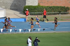 Enlarge photo 492