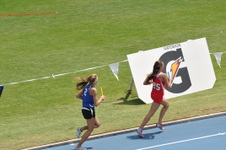 Enlarge photo 506