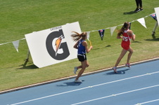 Enlarge photo 509