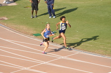 Enlarge photo 524