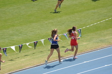 Enlarge photo 527