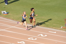 Enlarge photo 528