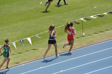 Enlarge photo 533