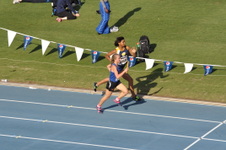 Enlarge photo 541