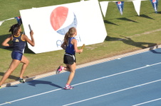 Enlarge photo 582