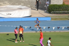Enlarge photo 734