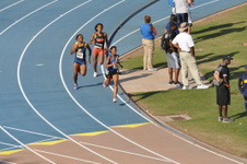Enlarge photo 783