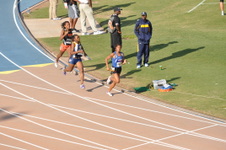 Enlarge photo 796
