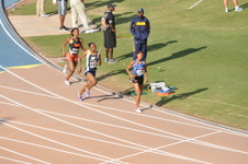 Enlarge photo 798