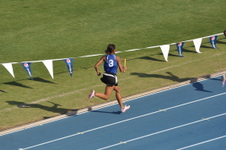 Enlarge photo 872