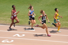 Enlarge photo 939