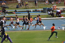 Enlarge photo 966