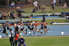 Enlarge photo 968