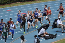 Enlarge photo 980