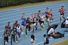 Enlarge photo 981