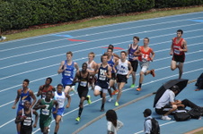 Enlarge photo 984