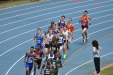 Enlarge photo 985