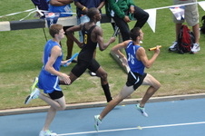 Enlarge photo 1029
