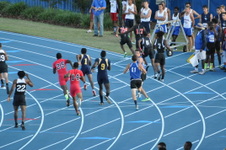 Enlarge photo 1055