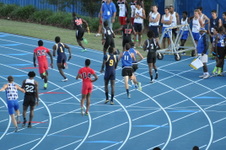 Enlarge photo 1061