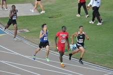 Enlarge photo 1131