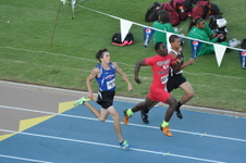 Enlarge photo 1146