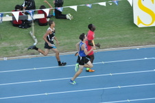 Enlarge photo 1164