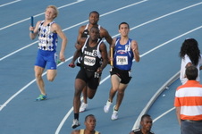 Enlarge photo 1443