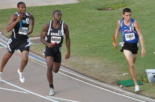 Enlarge photo 1463