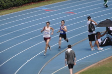 Enlarge photo 1480