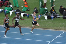 Enlarge photo 1484
