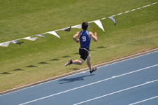 Enlarge photo 1533