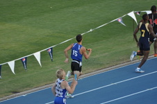 Enlarge photo 1554