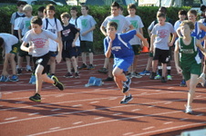 Enlarge photo 57