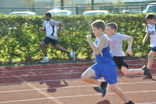 Enlarge photo 63