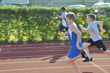 Enlarge photo 64