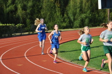 Enlarge photo 67