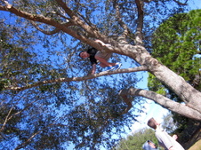 Enlarge photo 22