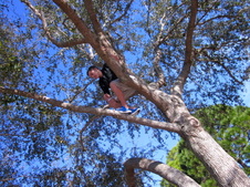 Enlarge photo 23