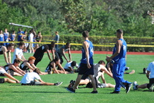 Enlarge photo 75