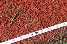 Enlarge photo 93