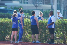 Enlarge photo 225