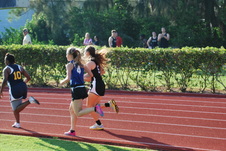 Enlarge photo 233