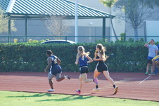 Enlarge photo 234