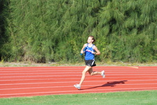 Enlarge photo 257