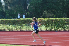 Enlarge photo 261