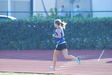 Enlarge photo 260